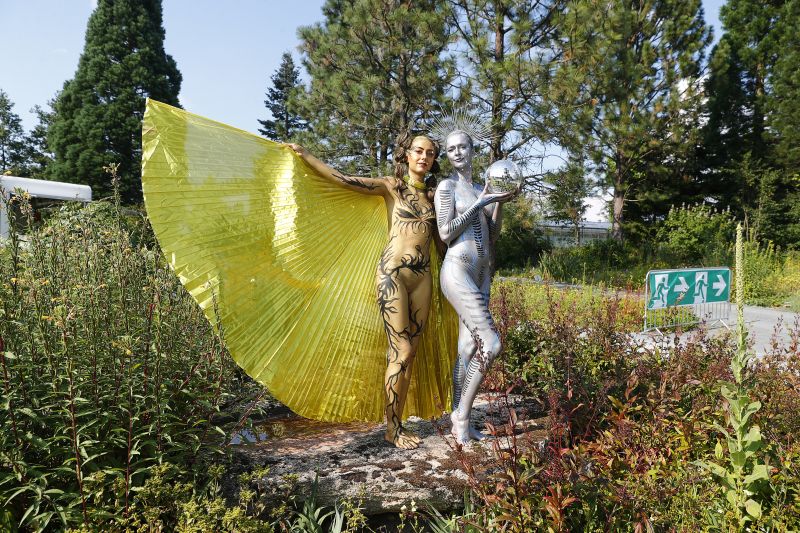 K20240720-22033-UNIKAT