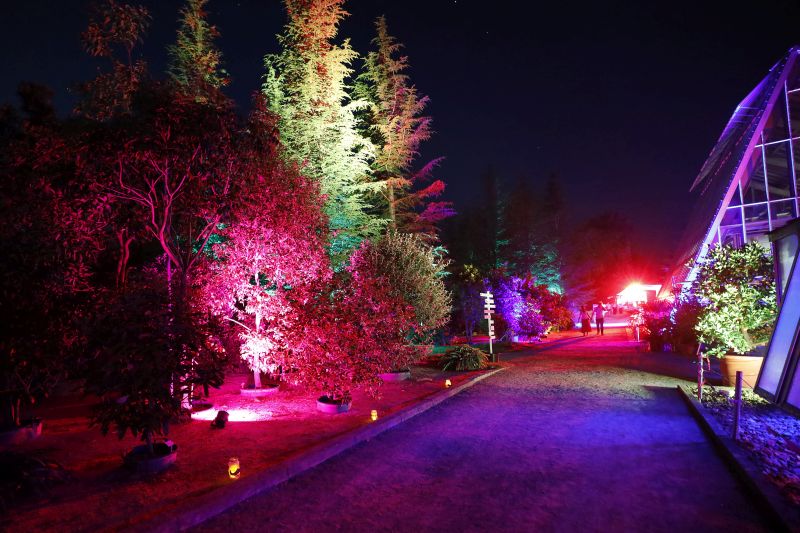 K20240720-40250-UNIKAT